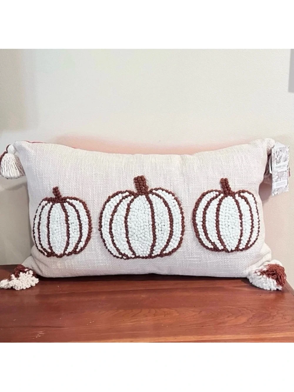 🆕- Shabby Chic Embroidered Pumpkin Trio Neutral Fall Pillow.